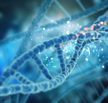 비침습 게시판 입니다