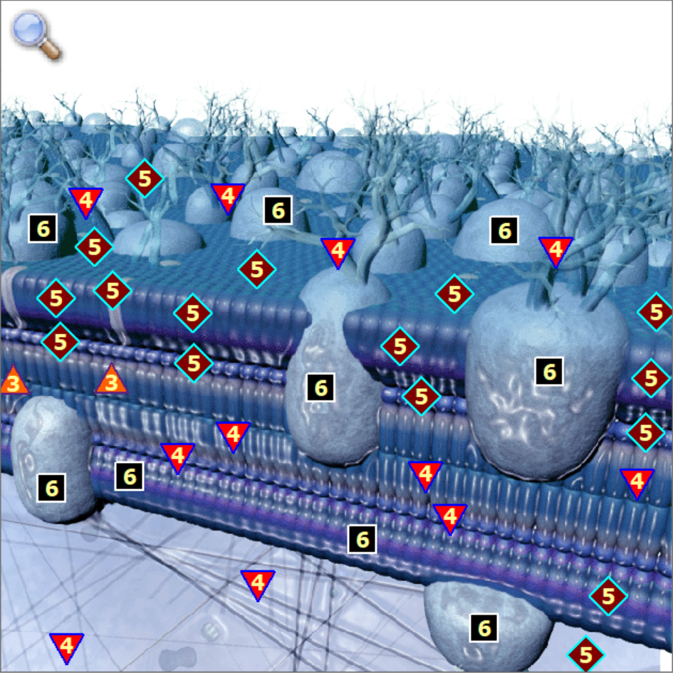 Socomate 적용분야